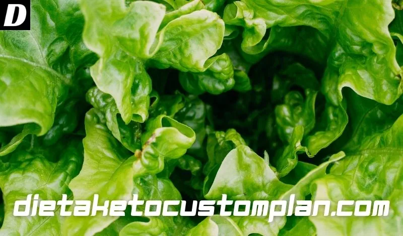 Is Lettuce Keto